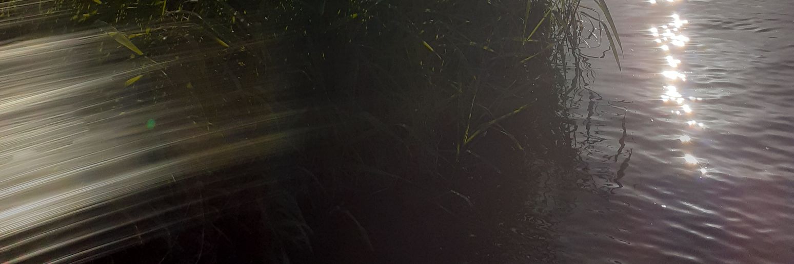 LiamFitzgerald0's profile banner image