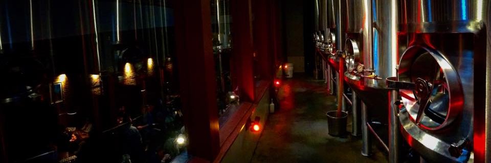 Triumph of Princeton banner