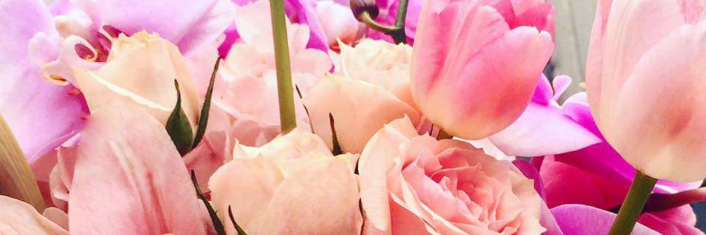 Charrrl_x's profile banner image
