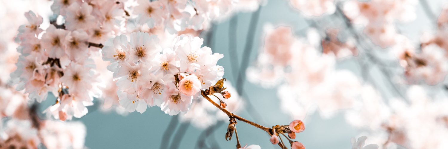 xodalena's profile banner image