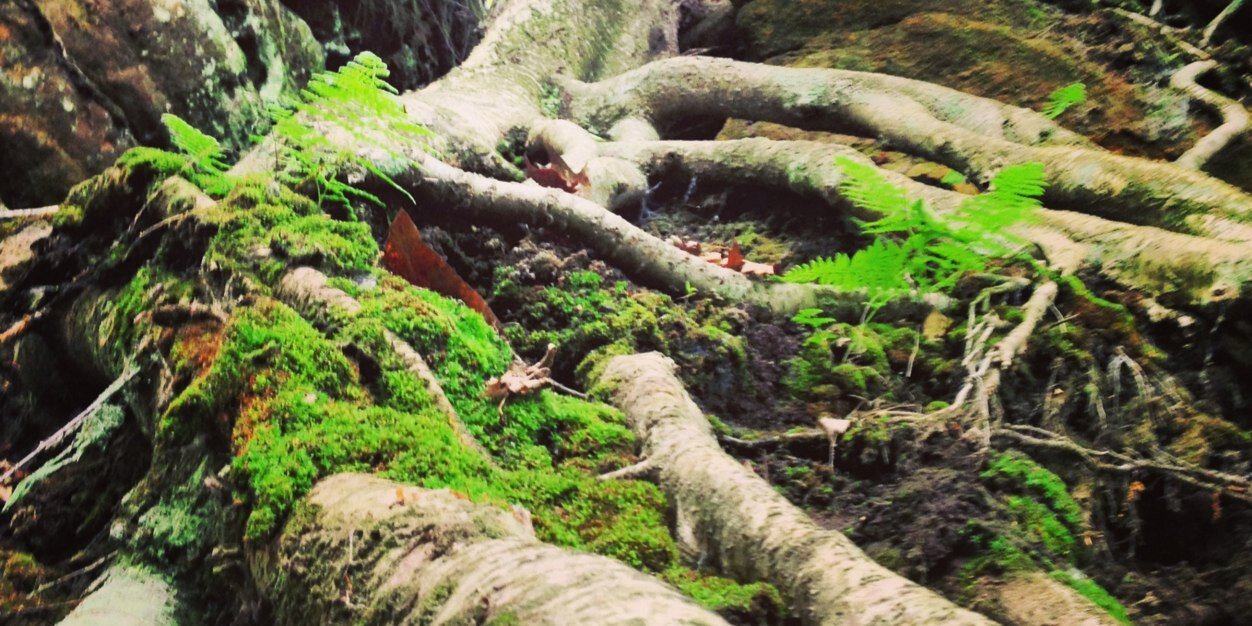 SarahOFlaherty9's profile banner image