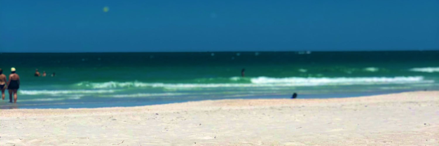 eshew7's profile banner image