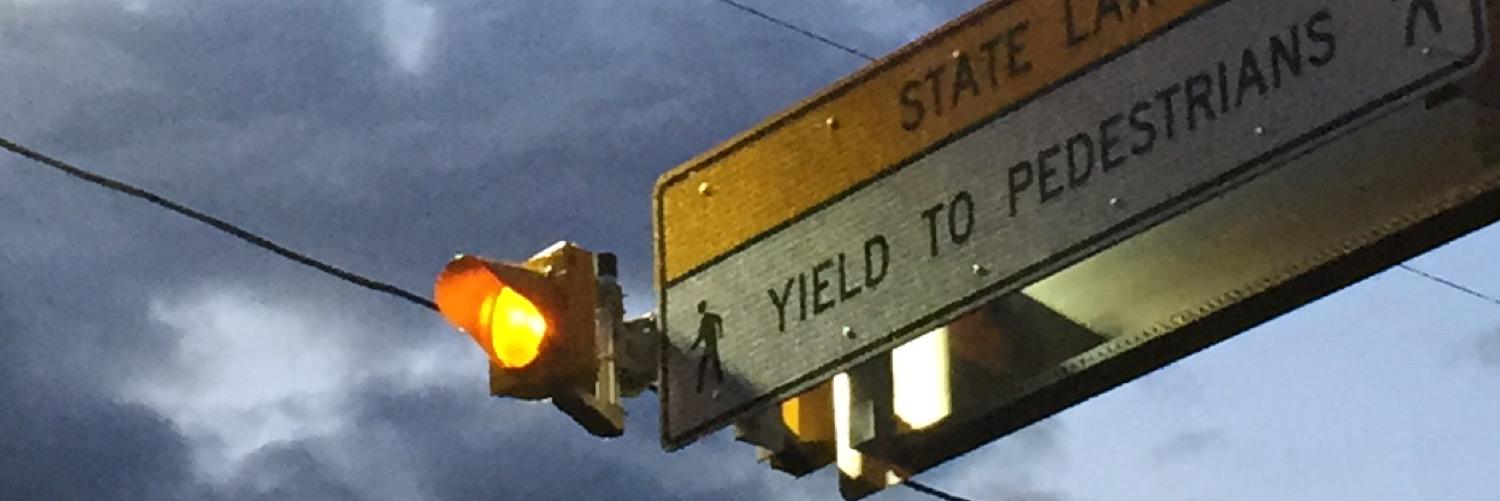 WhiteWolfKid's profile banner image