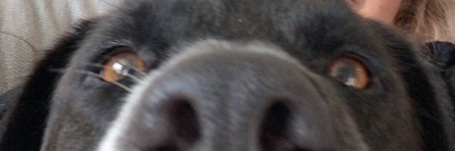 fab_riella's profile banner image