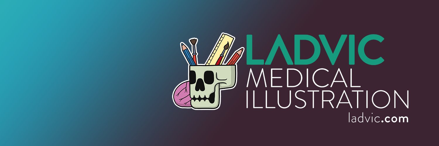 Luis Domitrovic banner