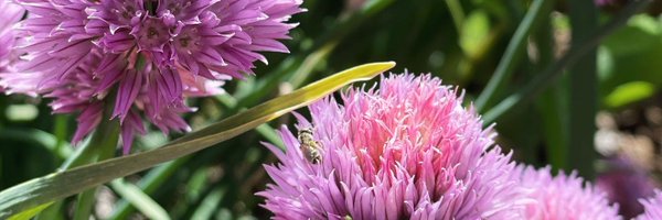 waiting2compile Profile Banner