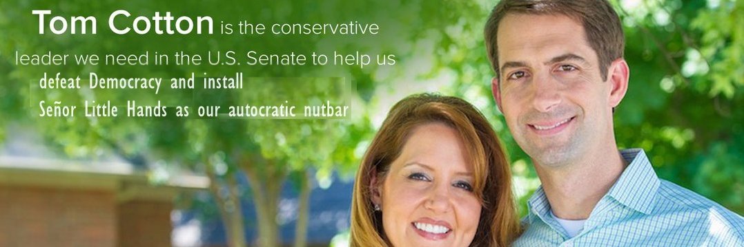 Senator Cotton banner