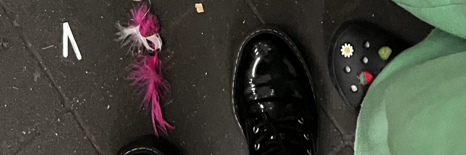 laraliivv's profile banner image