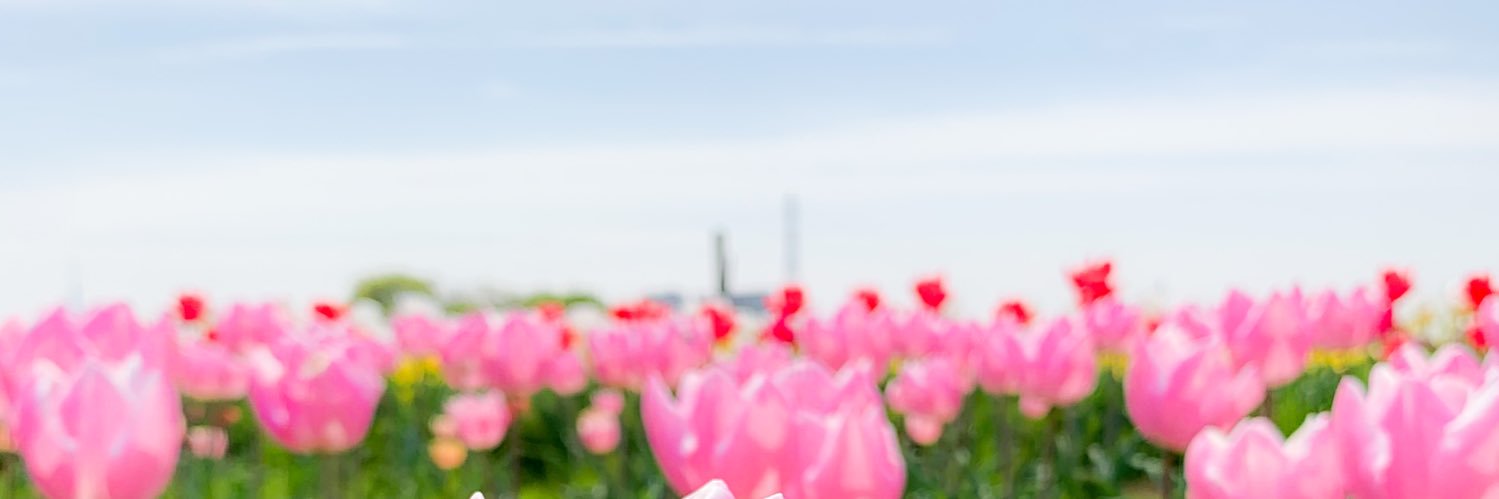 syk22752's profile banner image