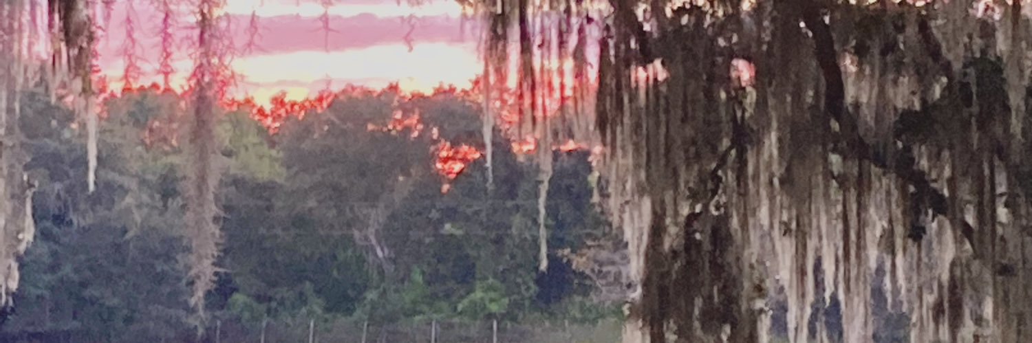 mbmorrison04's profile banner image