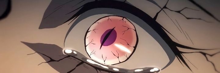 llarevic's profile banner image