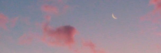 ItsLaureDeWit's profile banner image