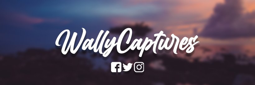 WallyCaptures's profile banner image