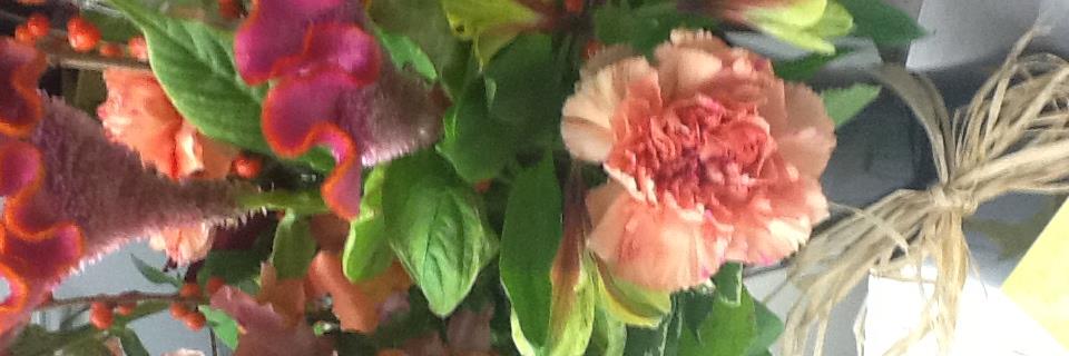 RobertaBoon's profile banner image