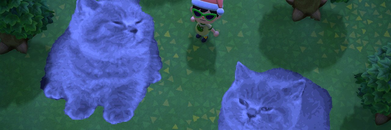 bean1000000's profile banner image