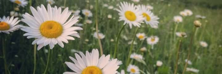 JennVisualDeign's profile banner image