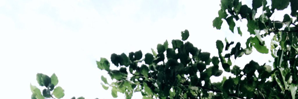 ItsTerrellAlex's profile banner image