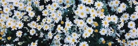 ssjessicaa's profile banner image