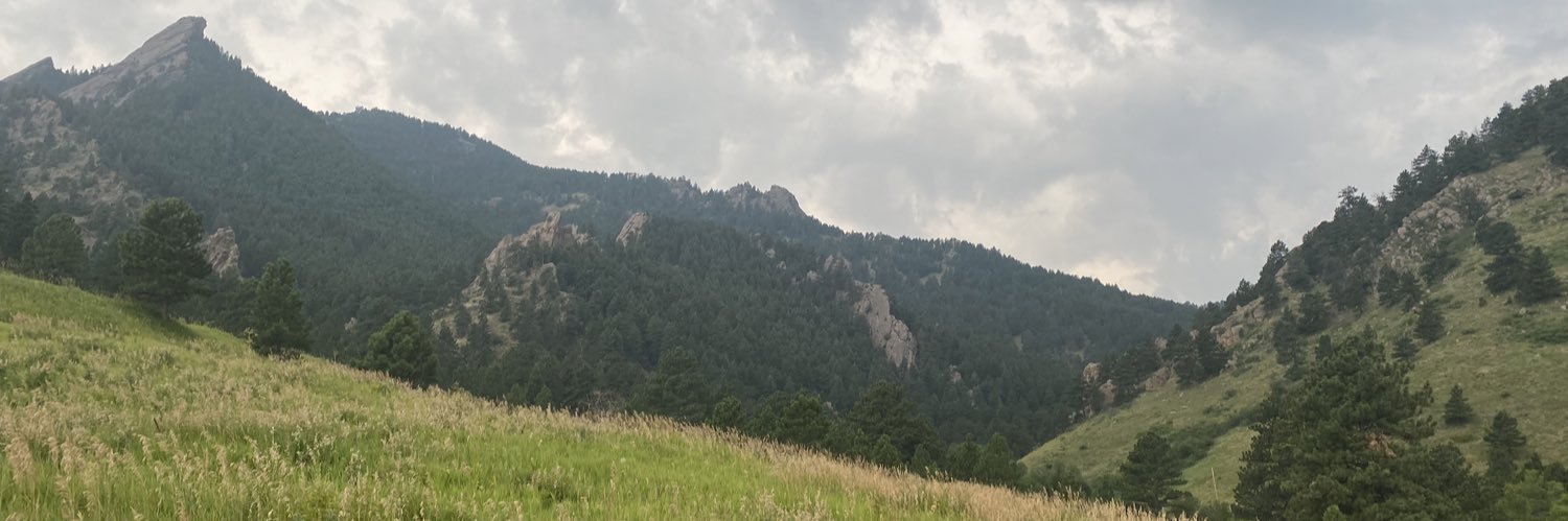 hannertowell's profile banner image