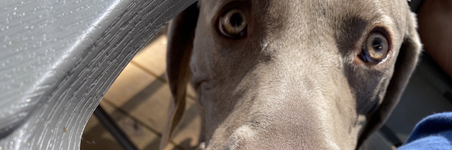 kylierussell_'s profile banner image
