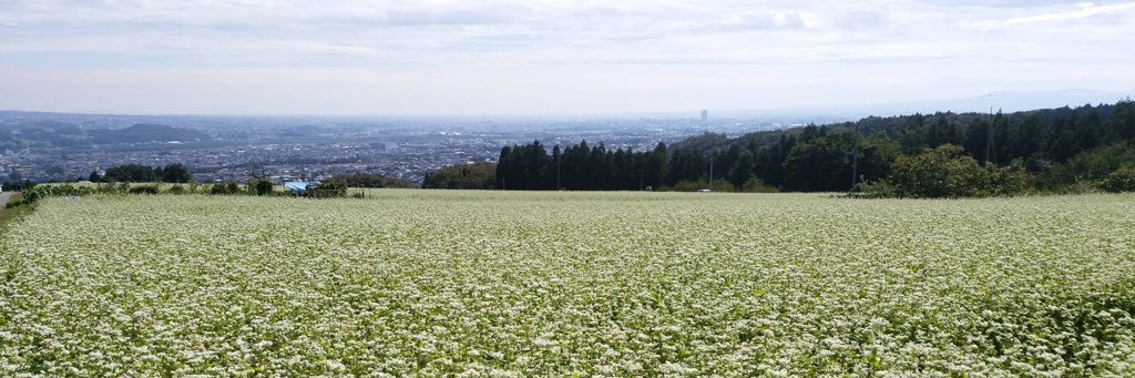 m7c_e's profile banner image