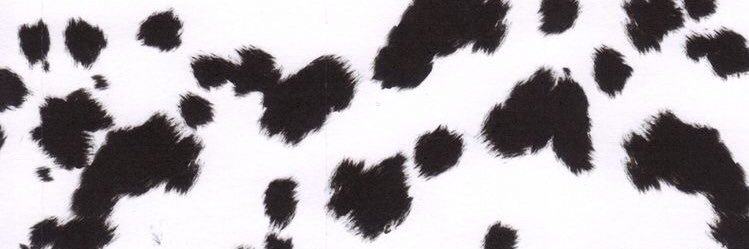 allysatolbert's profile banner image