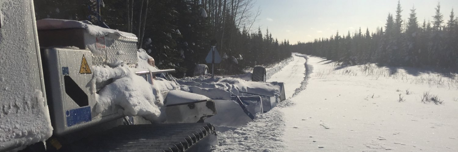 Polar Bear Riders banner