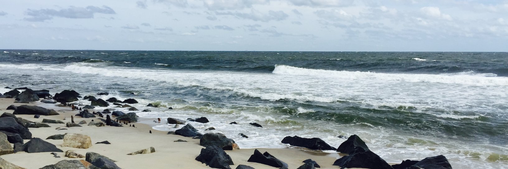 Michael K. Rasser, PhD banner