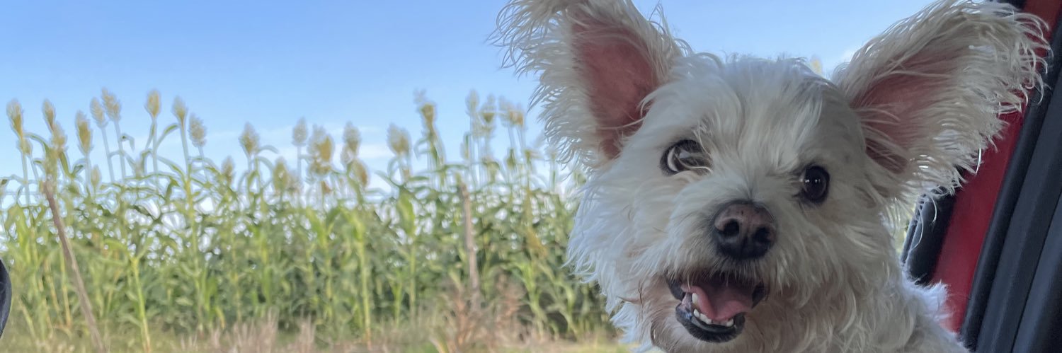 romipee08's profile banner image