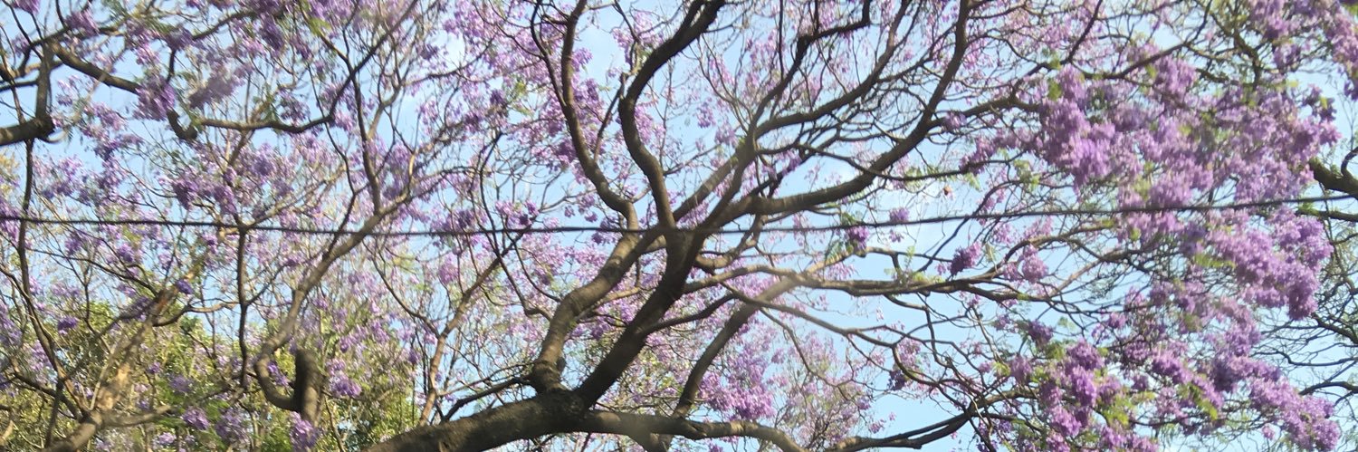 ceciliarosen's profile banner image
