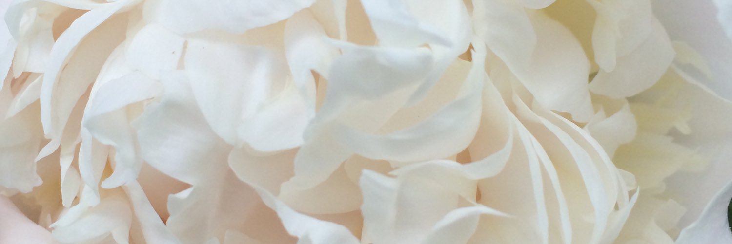 Andrea ® banner