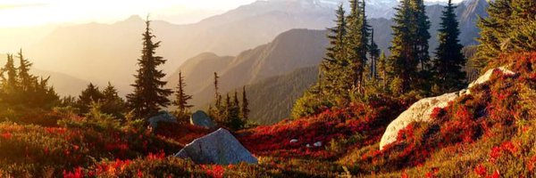 cassohlay Profile Banner