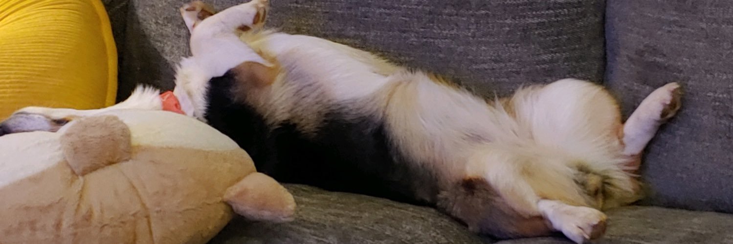 cebacon4's profile banner image