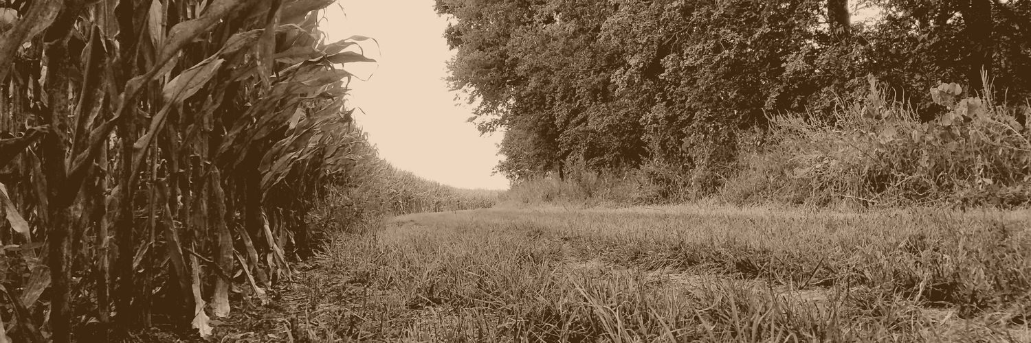 HenliW's profile banner image