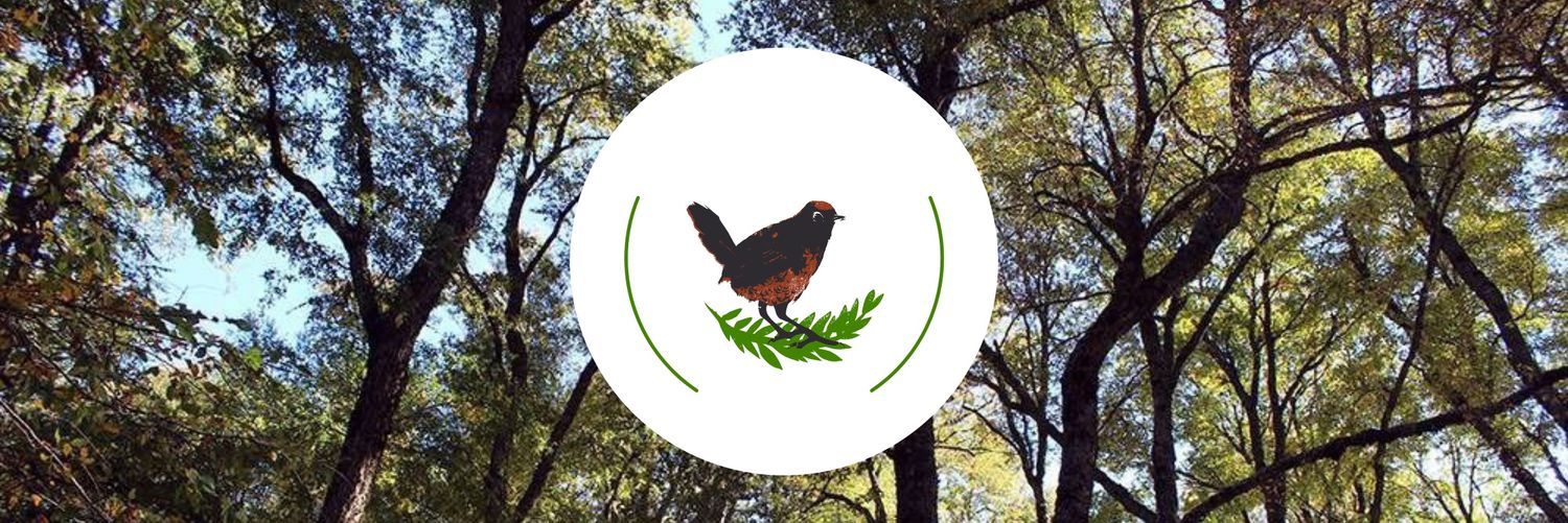 TsurComunic's profile banner image