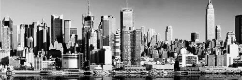 Morgan St. Pierre banner