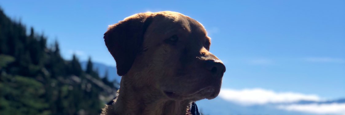 AGarrettStump's profile banner image
