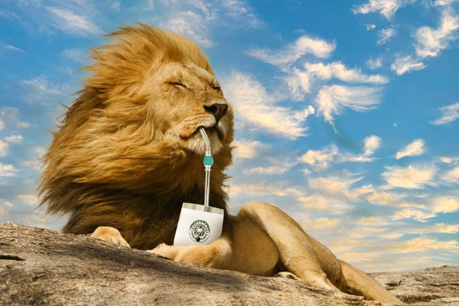 JimmyguerrerOff's profile banner image