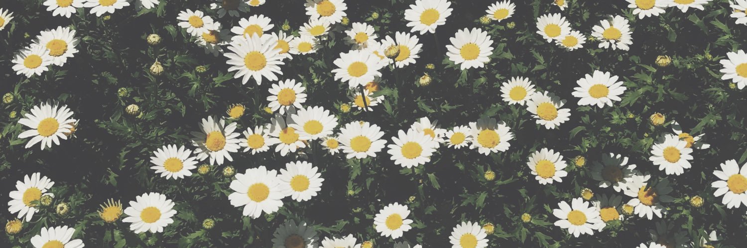 DnllMarchia's profile banner image