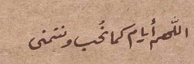 نوف 🐾 banner