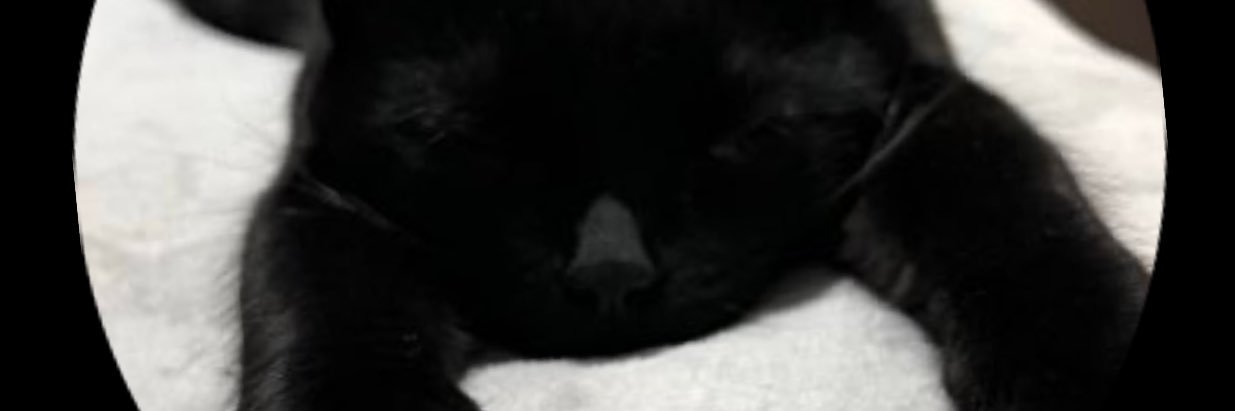 Est_Eterno's profile banner image