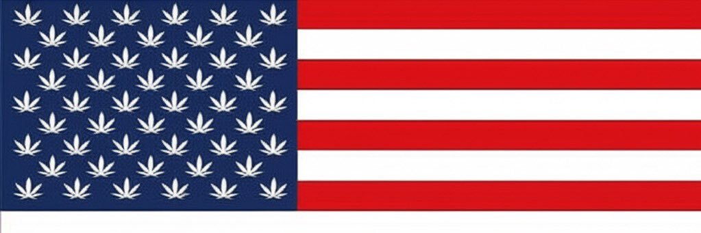 420Hippie's banner