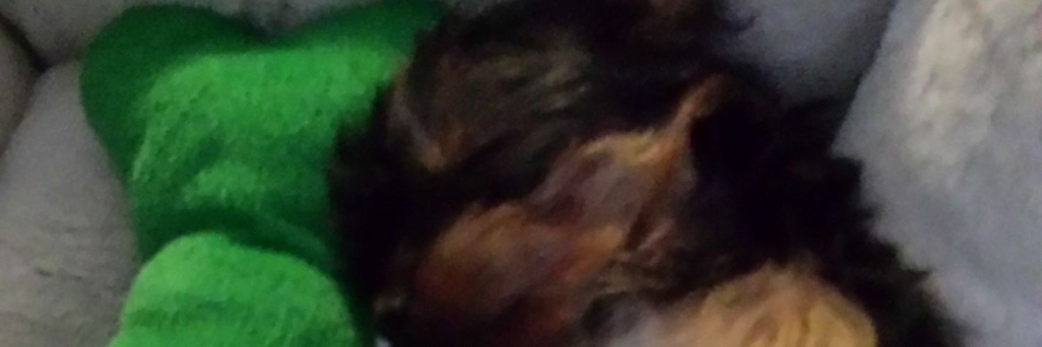 charzard2006's profile banner image