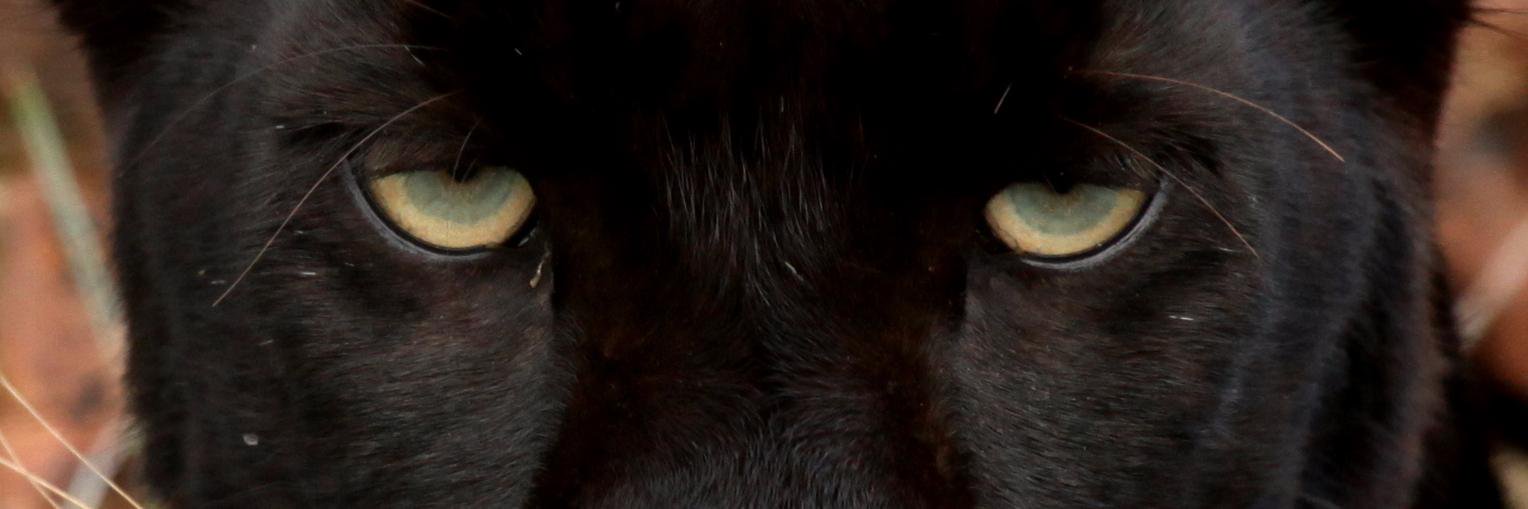 Lucius_QC's profile banner image
