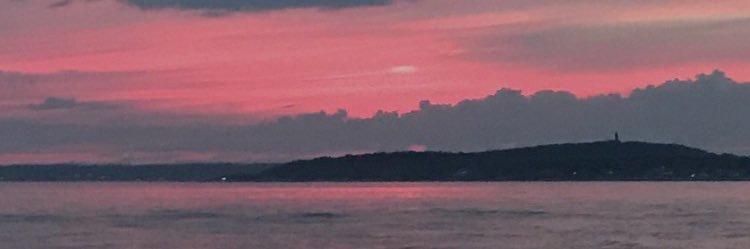 MoxieNft's profile banner image