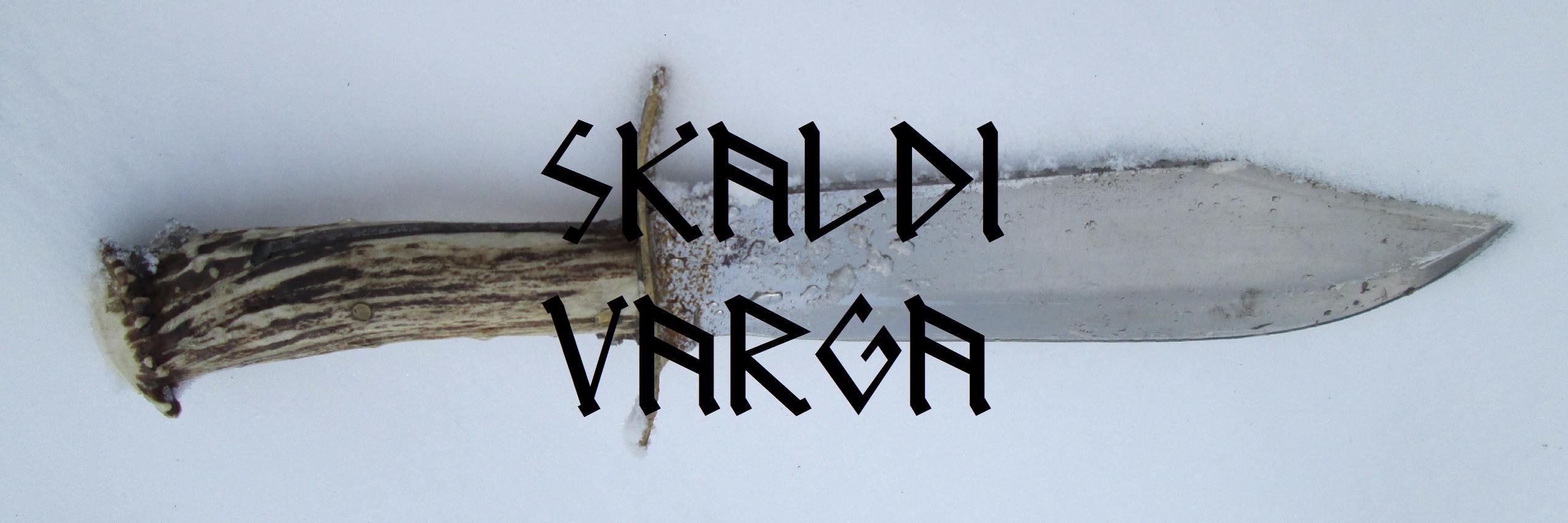SkaldiVarga's profile banner image