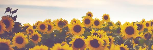 Stormie163's profile banner image