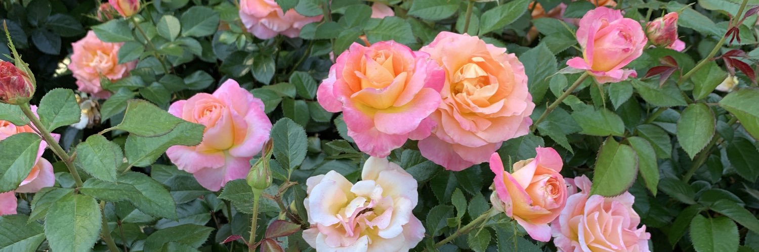 jennifakee's profile banner image