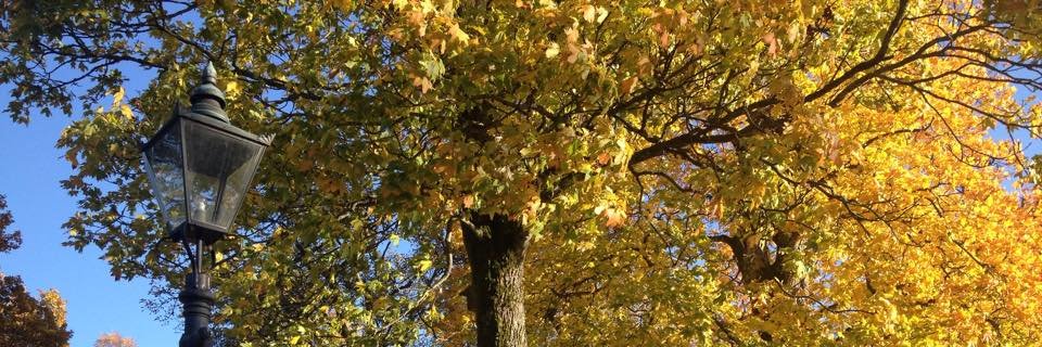 Jodie Gunders banner