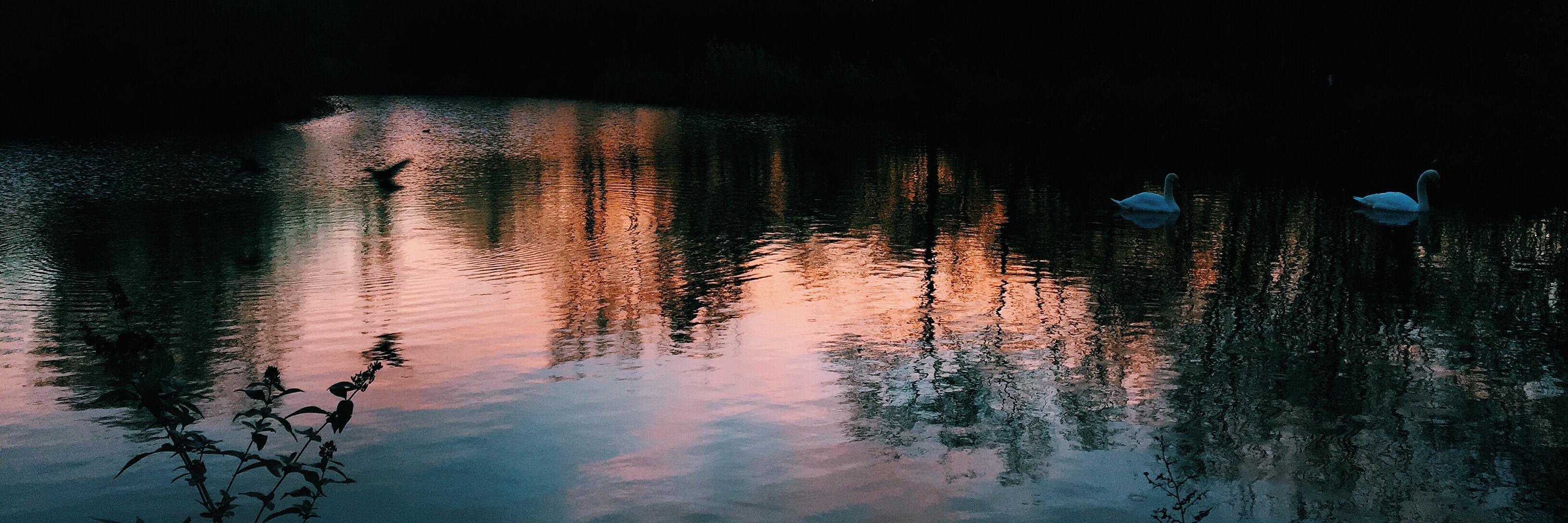 imogenmargaret's profile banner image